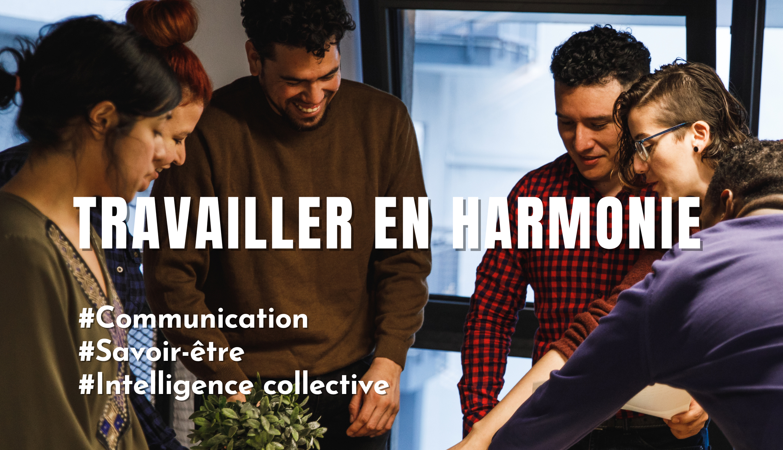 Formation Travailler en harmonie